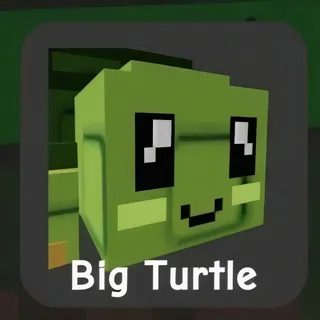 BIG TURTLE