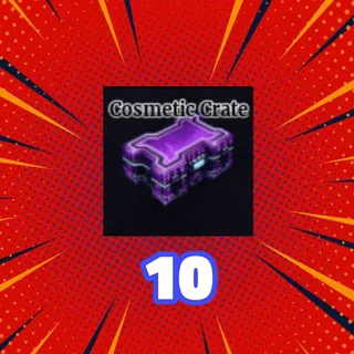 10 COSMETIC CRATE