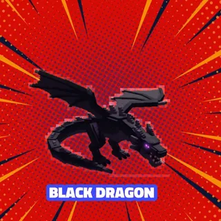 BLACK DRAGON