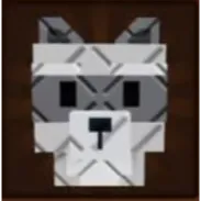 BIG RACCOON