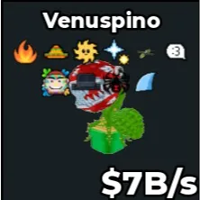 VENUSPINO 7B/S