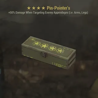 Pin-Pointer's Mod Box