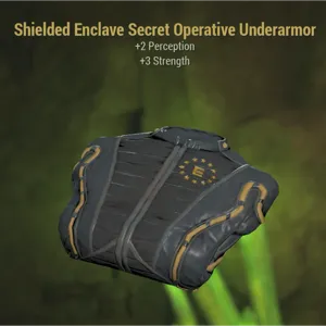 Enclave Secret Armor