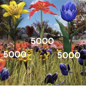 Big Bloom Bundle