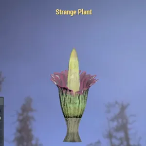 Strange Plant
