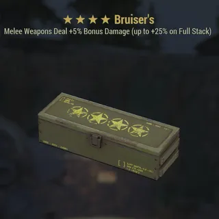 Bruiser Mod Box