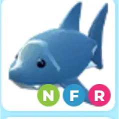 NFR Shark