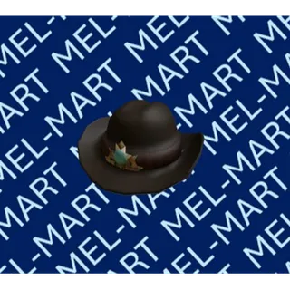 New Sheriff in Town Cowboy Hat