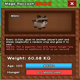 MEGA RACCOON 60KG - GROW A GARDEN