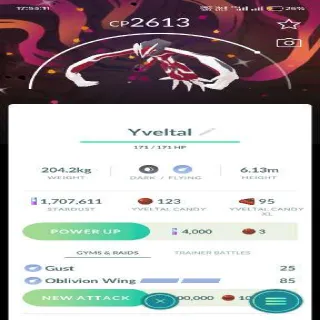 Shiny Yveltal With Bg