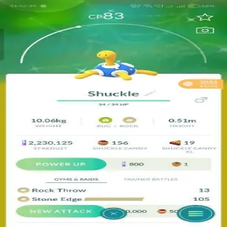 Shiny Double Offer