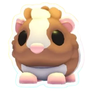 chocolate guinea pig