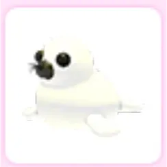 Harp Seal Adopt Me