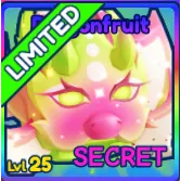 Dragonfruit Secret BGSI