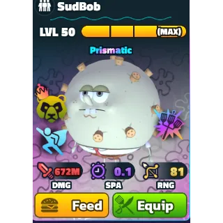 SUDBOB | SBTD