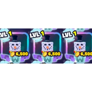 3X SW SNOW SPONGE | SBTD