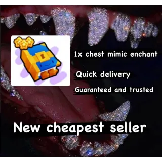 1X CHEST MIMIC