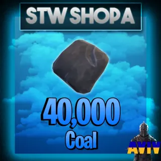 COAL | 40 000X