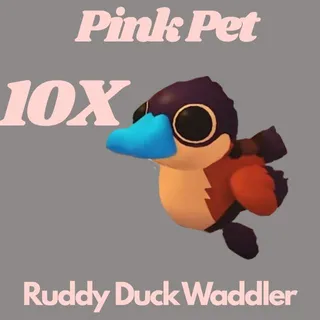 Ruddy Duck Waddler 10X