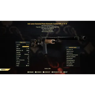 Anti Armor Explosive 15R Combat Rifle AAE15R | Max Level 50 | Fast Delivery