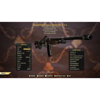 Two Shot 25FFR 35AP Combat Rifle TS/25FFR/35AP | Max Level 50 | Fast Delivery
