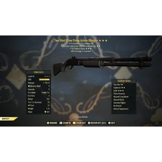Two Shot Explosive Fast Reload Pump Action Shotgun TSEFR | Max Level 45 | Fast Delivery