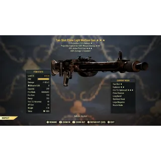 Two Shot Explosive 35AP LMG TSE35 | Max Level 50 | Fast Delivery