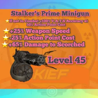 ⭐⭐⭐Stalker`s 2525 Minigun+💥
