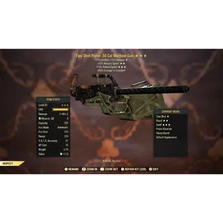 Two Shot 25FFR 15R .50 Cal Machine Gun TS/25FFR/15R | Max Level 50 | Fast Delivery