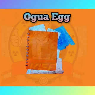 🥚Ogua Egg Plan🥚