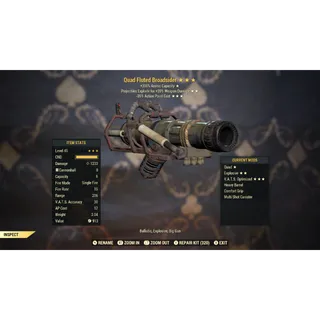 Quad Explosive Broadsider QE35 | Max Level 50 | Fast Delivery