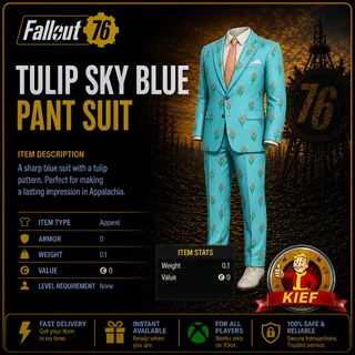 Tulip Sky Blue Pant Suit