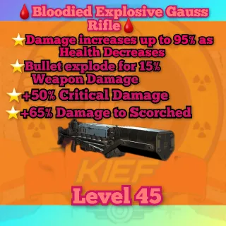 ⭐⭐⭐🩸Bloodied Explosive Gauss Rifle
