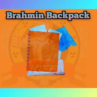 🐮Brahmin Backpack Plan🎒