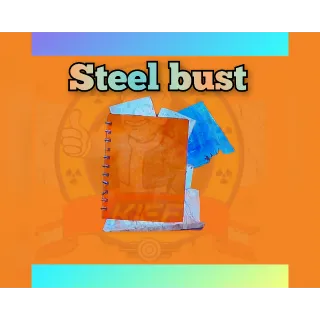 Steel Bust Plan