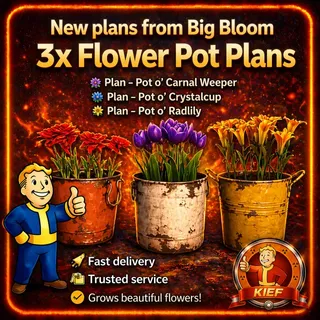 Plan : Big Bloom Flower Pots