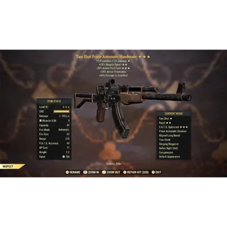 Two Shot 25FFR 35AP Handmade TS/25FFR/35AP | Max Level 45 | Fast Delivery