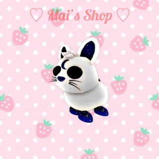 M Moon Rabbit