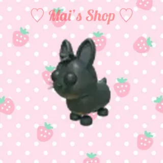 MFR Amami Rabbit