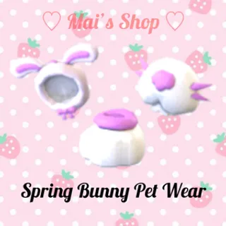 Spring Bunny Pet Wear Bundle