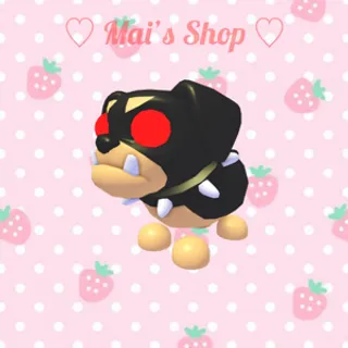 MFR The Black Dog