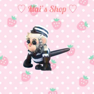 M Inmate Capuchin Monkey