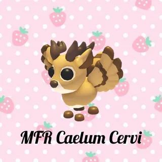 MFR Caelum Cervi