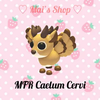 MFR Caelum Cervi