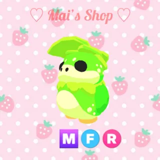 MFR Kappakid