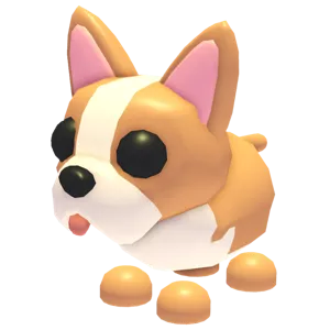 MFR French Bulldog