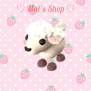 MFR Lamb