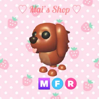 MFR Irish Setter