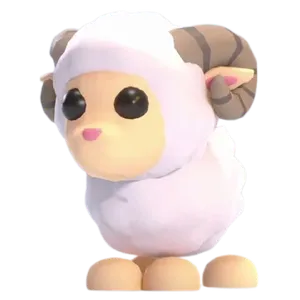 MFR Ram