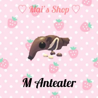 M Anteater